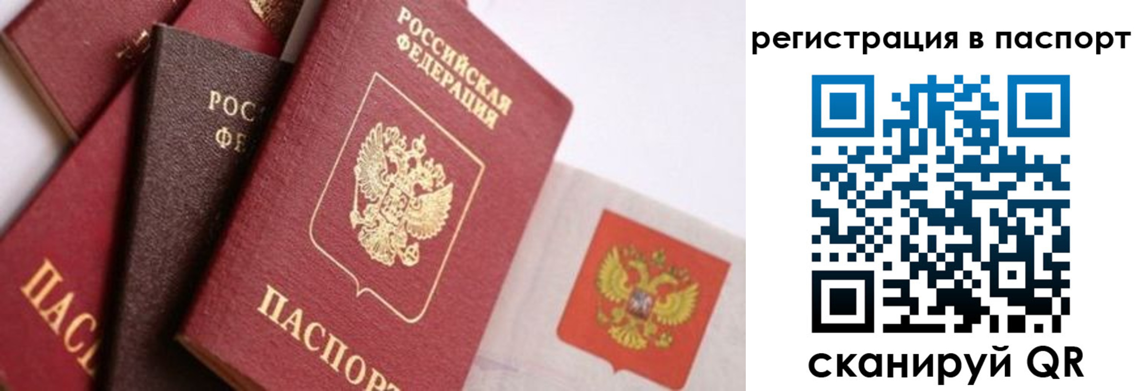 временная регистрация поиск в Волгограде
